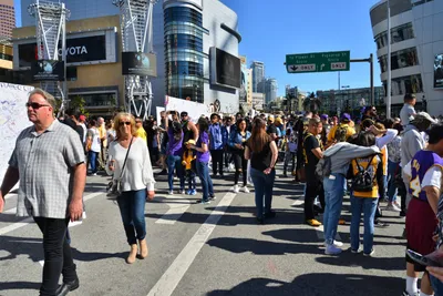 DSC_7140 (Large).JPG